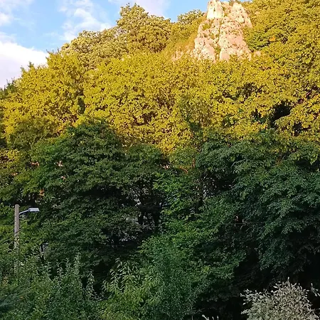 Rowerowe Apartman